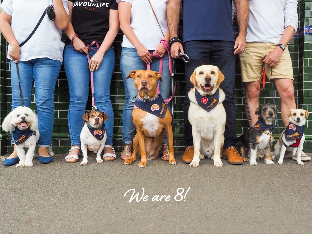Happy 8th Birthday to Us!
